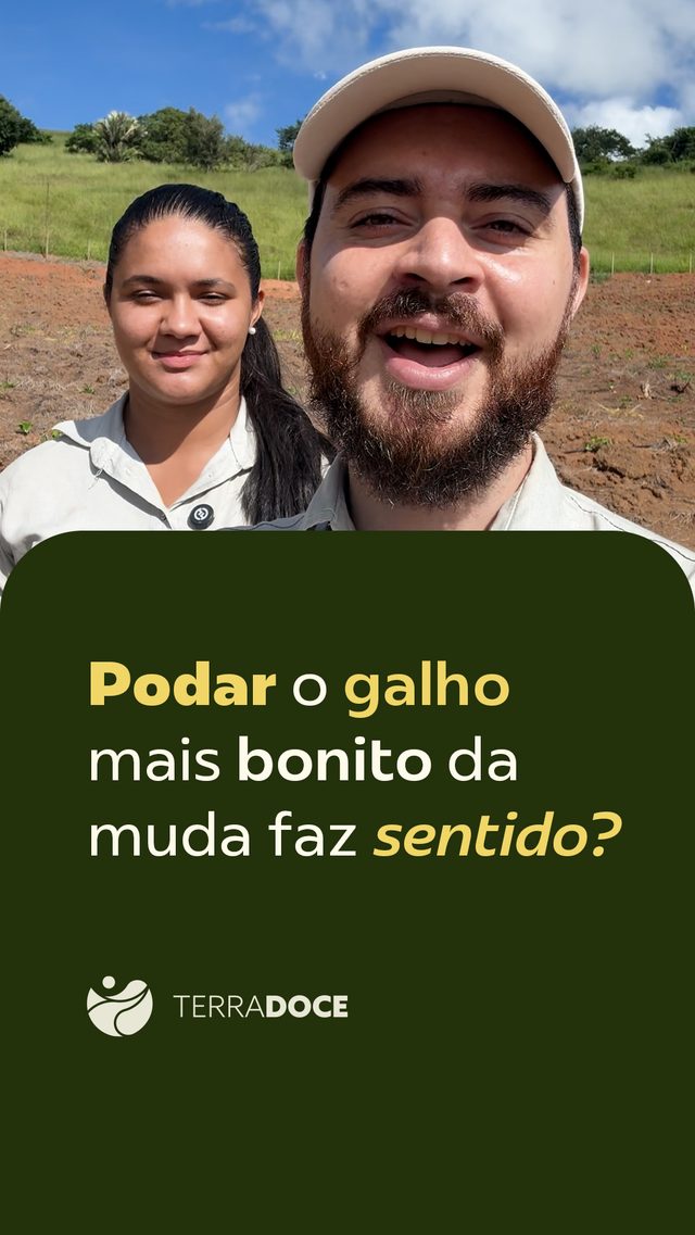 Podar o galho mais bonito da muda faz sentido? — Terra Doce Visita